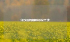 奇妙屋的精彩寻宝之旅