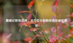 鹿鼎记职业选择，全方位分析助你选出最优职业