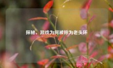 探秘，游戏为何被称为老头环