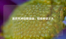 善良死神隐藏英雄，暗夜希望之光