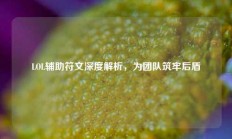 LOL辅助符文深度解析，为团队筑牢后盾