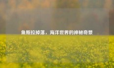 鱼斯拉掉落，海洋世界的神秘奇景