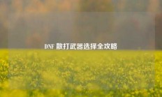 DNF 散打武器选择全攻略