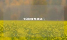 八奇珍匣断案风云