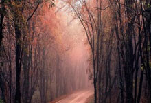 保卫萝卜天际20关攻略图解，轻松通关秘籍揭秘