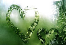 保卫萝卜天际20关攻略图解，轻松通关秘籍揭秘