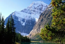 保卫萝卜天际20关攻略图解，轻松通关秘籍揭秘