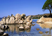 保卫萝卜天际20关攻略图解，轻松通关秘籍揭秘