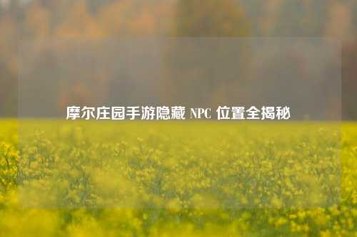 摩尔庄园手游隐藏 NPC 位置全揭秘