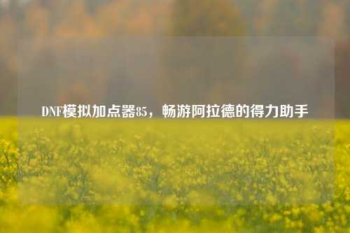 DNF模拟加点器85，畅游阿拉德的得力助手