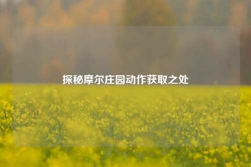 探秘摩尔庄园动作获取之处