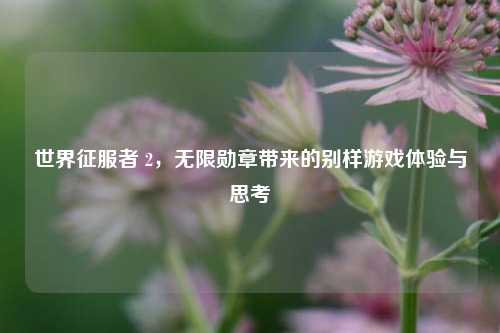 世界征服者 2，无限勋章带来的别样游戏体验与思考