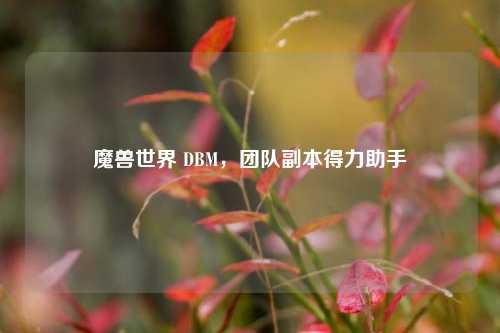 魔兽世界 DBM，团队副本得力助手