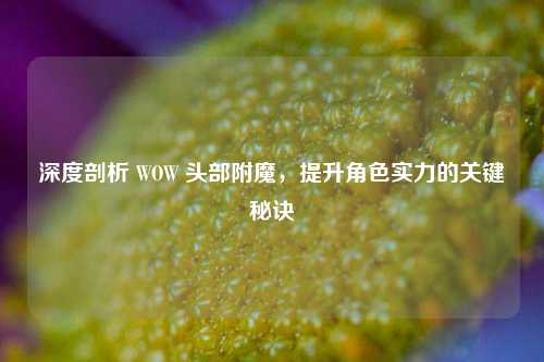 深度剖析 WOW 头部附魔，提升角色实力的关键秘诀