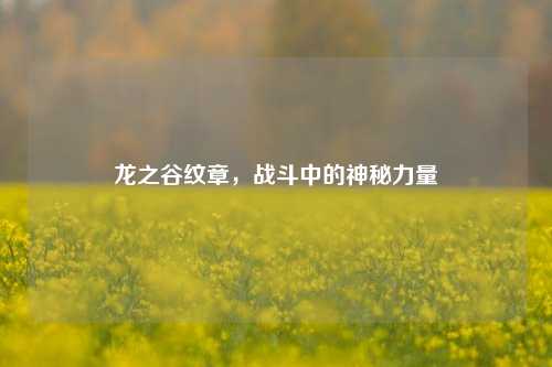 龙之谷纹章，战斗中的神秘力量