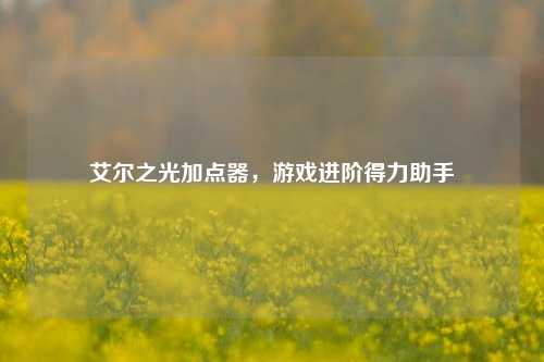 艾尔之光加点器，游戏进阶得力助手
