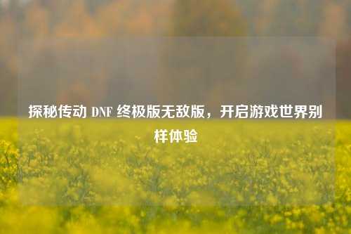 探秘传动 DNF 终极版无敌版，开启游戏世界别样体验