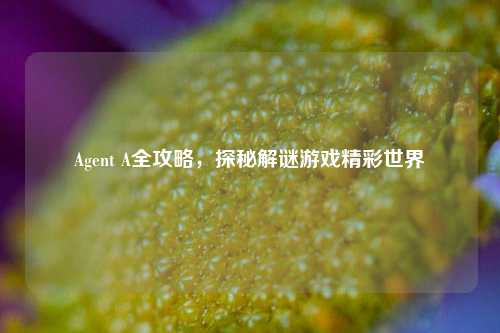 Agent A全攻略，探秘解谜游戏精彩世界