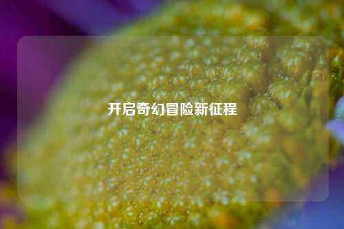开启奇幻冒险新征程