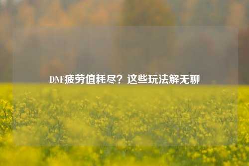 DNF疲劳值耗尽？这些玩法解无聊