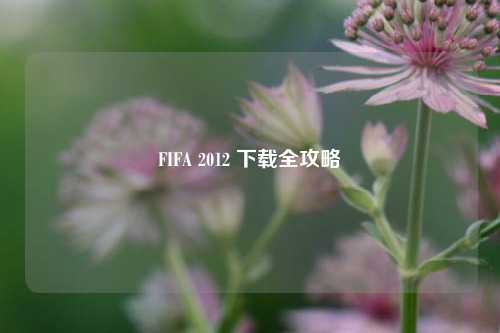 FIFA 2012 下载全攻略