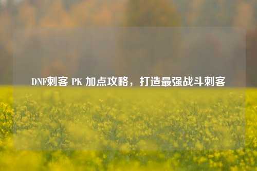 DNF刺客 PK 加点攻略，打造最强战斗刺客
