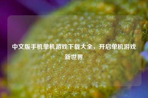 中文版手机单机游戏下载大全，开启单机游戏新世界
