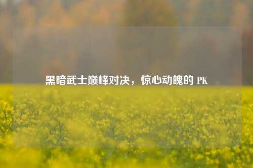 黑暗武士巅峰对决，惊心动魄的 PK