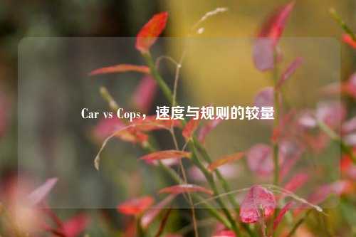 Car vs Cops，速度与规则的较量