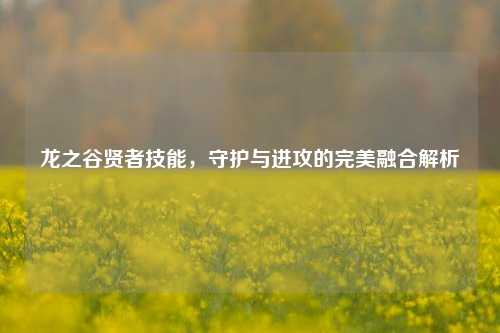 龙之谷贤者技能，守护与进攻的完美融合解析