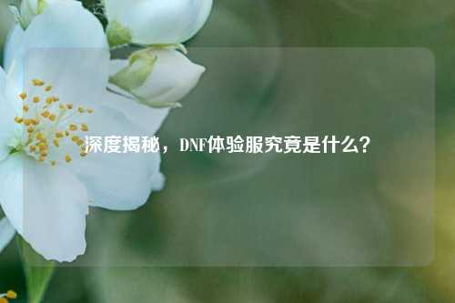 深度揭秘，DNF体验服究竟是什么？