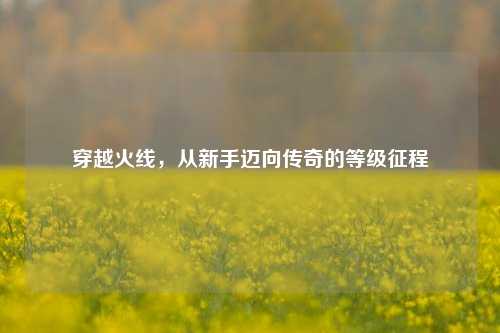 穿越火线，从新手迈向传奇的等级征程