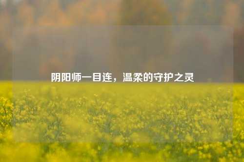 阴阳师一目连，温柔的守护之灵