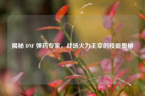 揭秘 DNF 弹药专家，战场火力主宰的技能奥秘