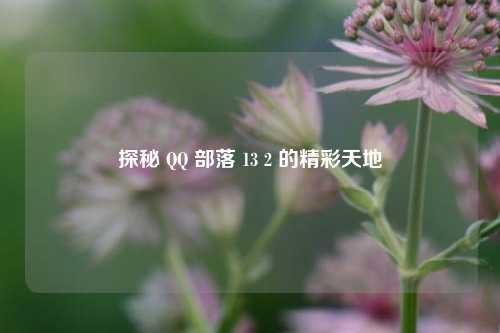探秘 QQ 部落 13 2 的精彩天地