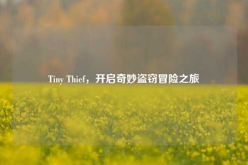 Tiny Thief，开启奇妙盗窃冒险之旅