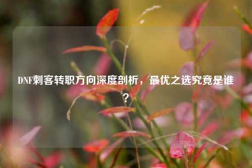 DNF刺客转职方向深度剖析，最优之选究竟是谁？