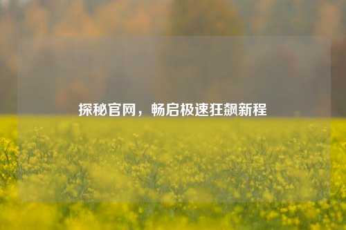 探秘官网，畅启极速狂飙新程