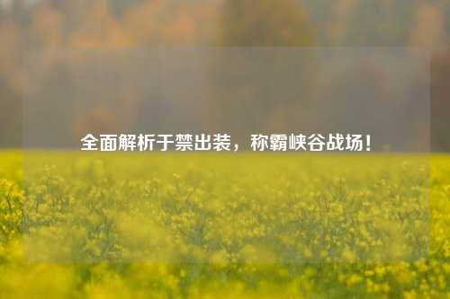 全面解析于禁出装，称霸峡谷战场！
