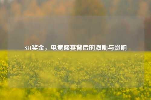 S11奖金，电竞盛宴背后的激励与影响