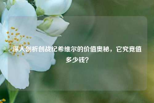 深入剖析创战纪希维尔的价值奥秘，它究竟值多少钱？