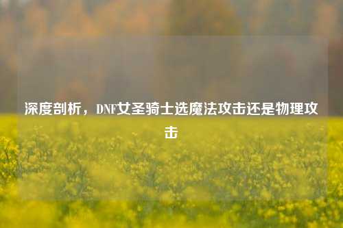 深度剖析，DNF女圣骑士选魔法攻击还是物理攻击