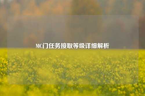 MC门任务接取等级详细解析