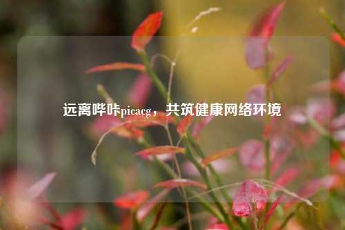 远离哔咔picacg，共筑健康网络环境