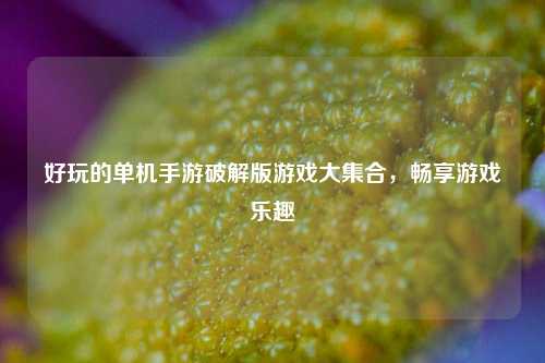 好玩的单机手游破解版游戏大集合，畅享游戏乐趣